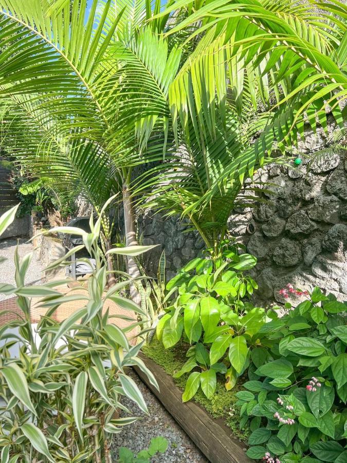 L'Eden - Villa Cosy A Sainte-Clotilde Экстерьер фото
